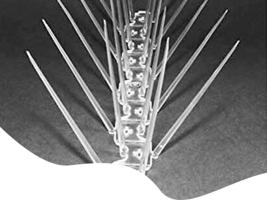 Service Image